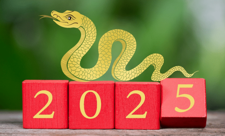 2025 with a snake on top seen during a New York City travel guide