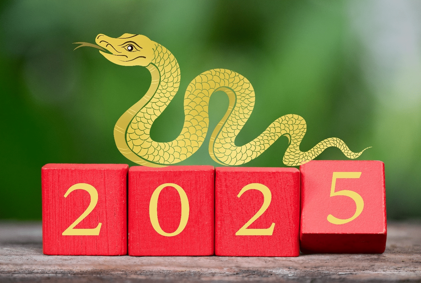 2025 with a snake on top seen during a New York City travel guide