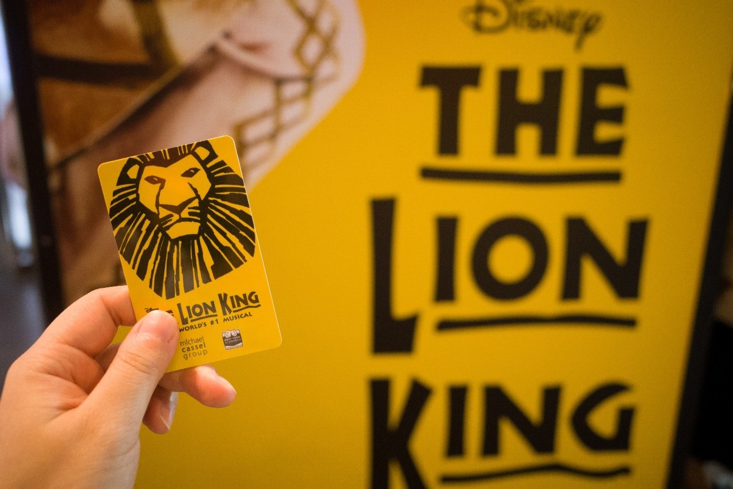 A hand holding a ticket to The Lion King show during a one-day sightseeing tour