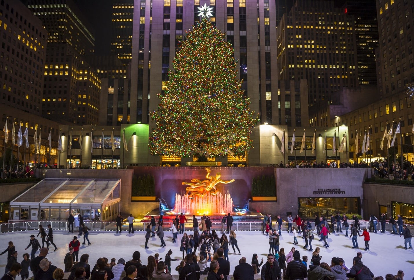 Large Christmas tree with people skating nearby seen during a city trip to New York