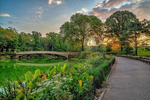 A scenic view of Central Park in spring.