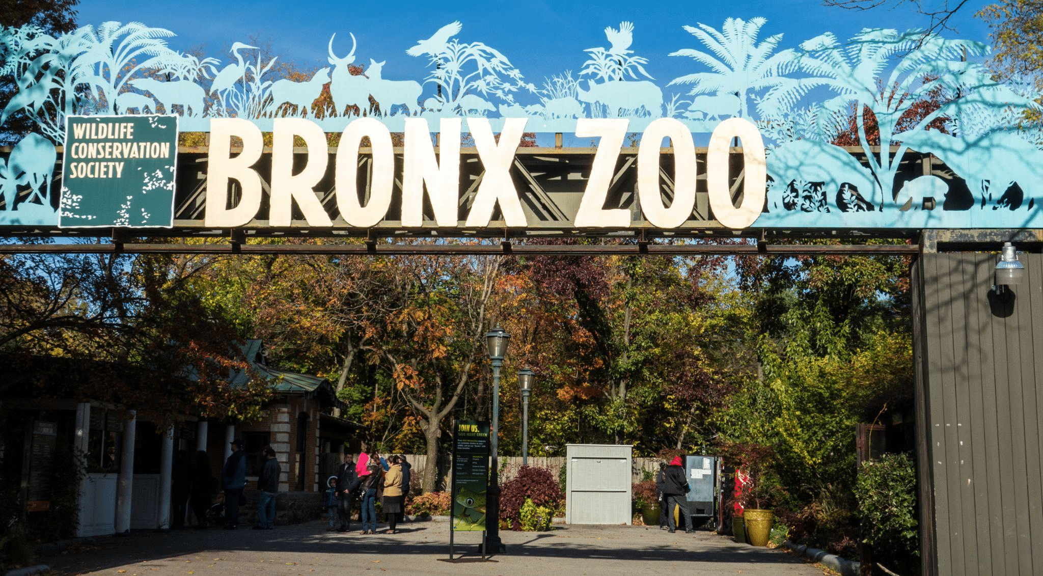 the Bronx Zoo
