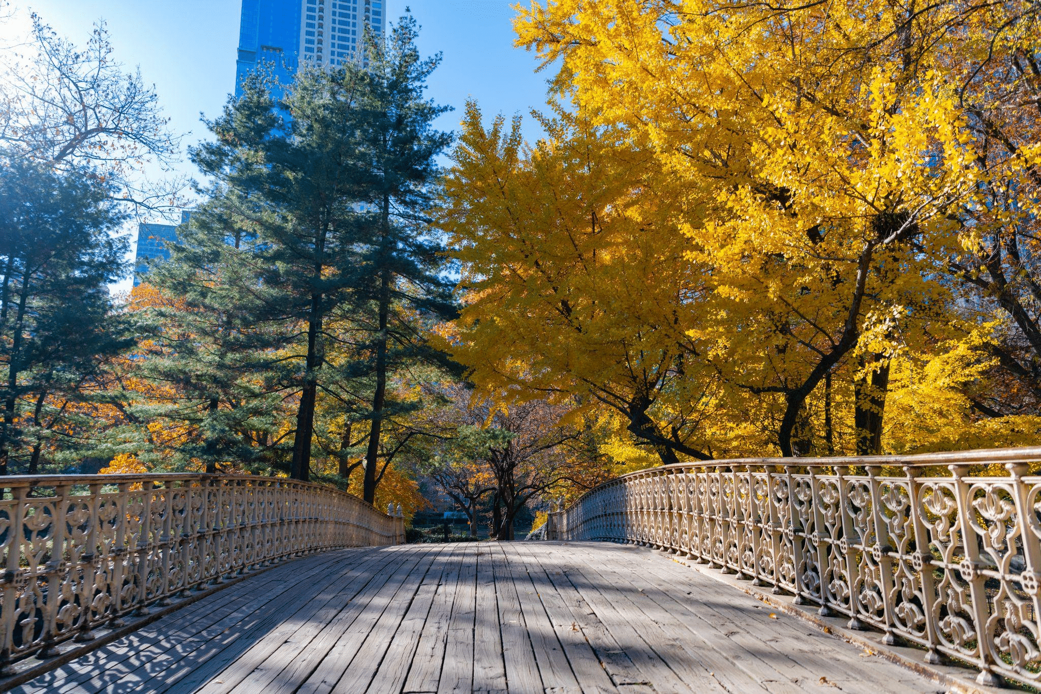 Central Park