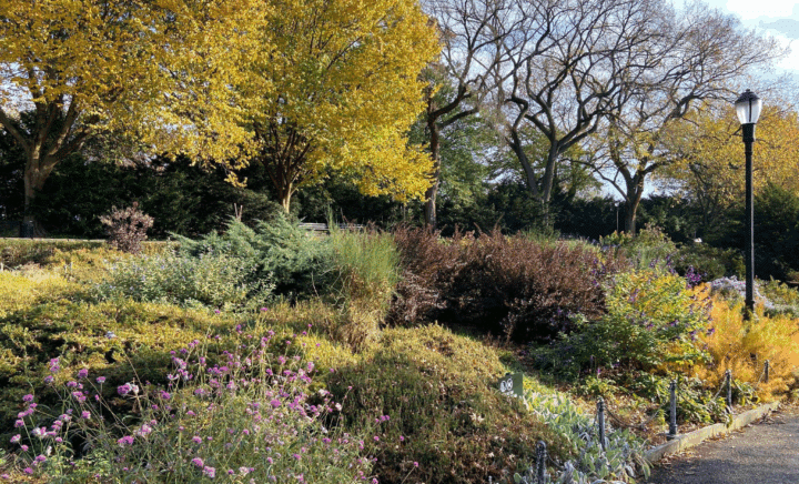 A beautiful autumn scene in Fort Tryon Park with colorful trees, lush greenery, and vibrant flowers.