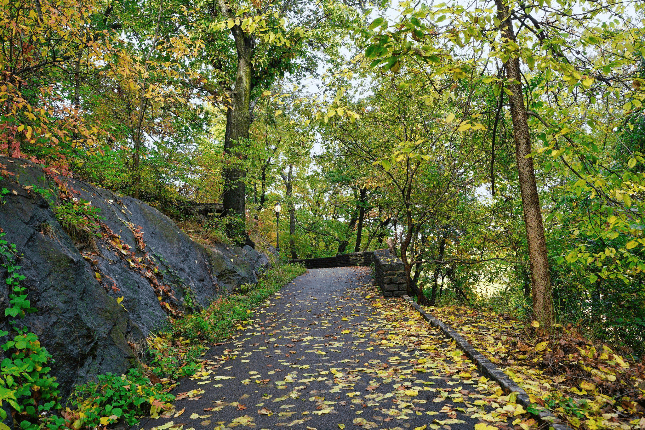 A peaceful path winding through Fort Tryon Park during the fall season