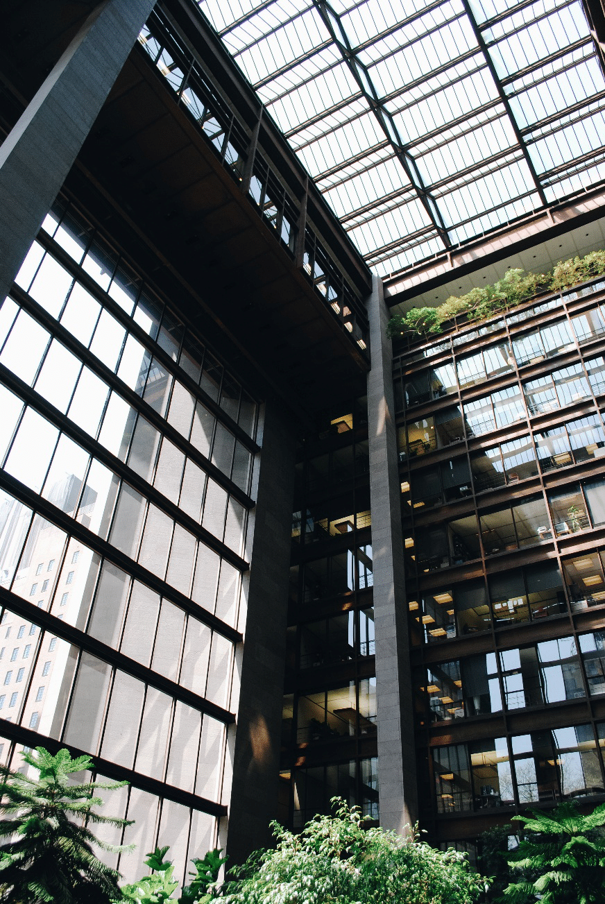 A garden inside a glass building seen during a New York City travel guide