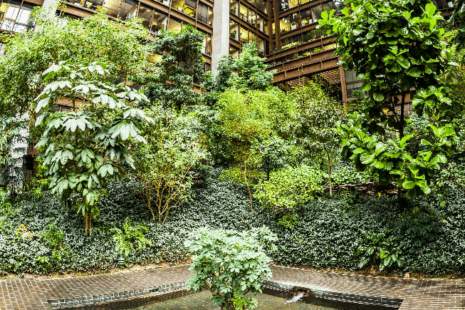 Plants seen inside a building during a New York City travel guide