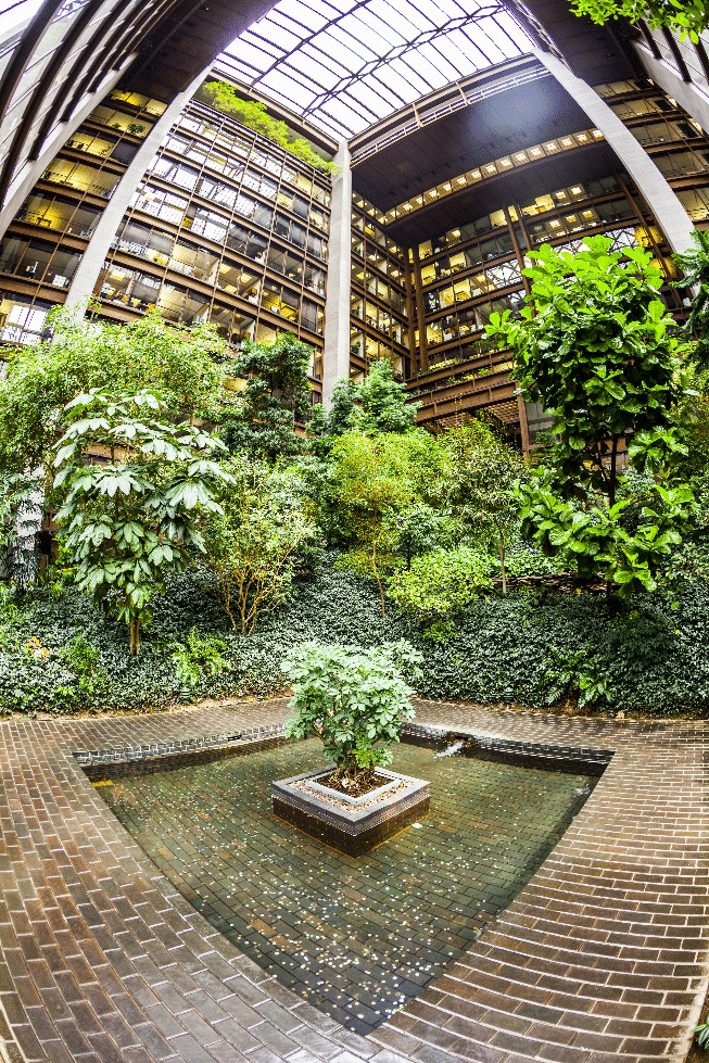 Plants seen inside a building during a New York City travel guide