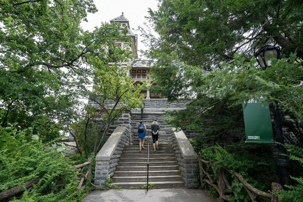 Stairs leading to Belvedere Castle through dense greenery.