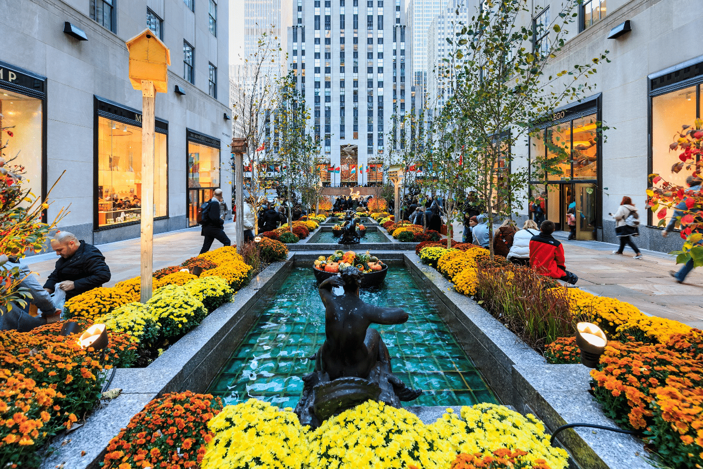 A fountain surrounded by yellow and orange flowers