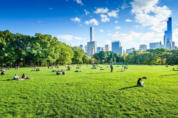 picture of the Central Park