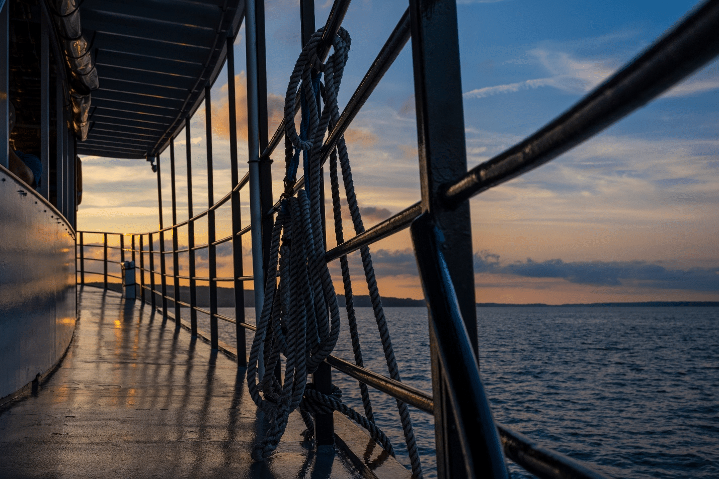 The railings of a cruise ship