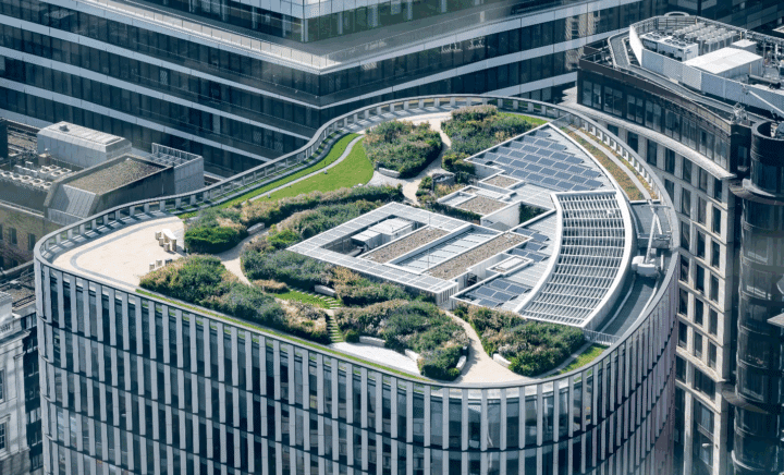 A garden on the roof of a building