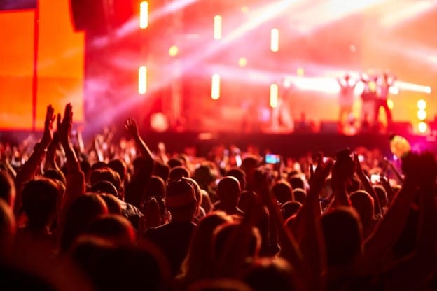crowd at a music festival