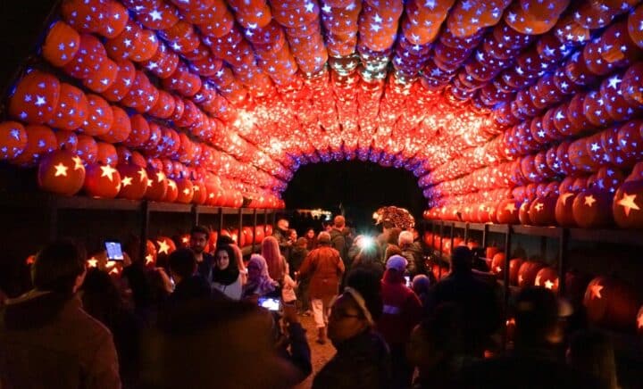 A picture of the Great Jack O’Lantern Blaze festival