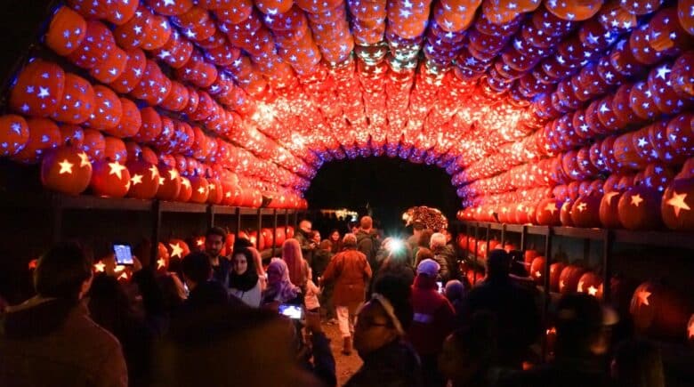 A picture of the Great Jack O’Lantern Blaze festival