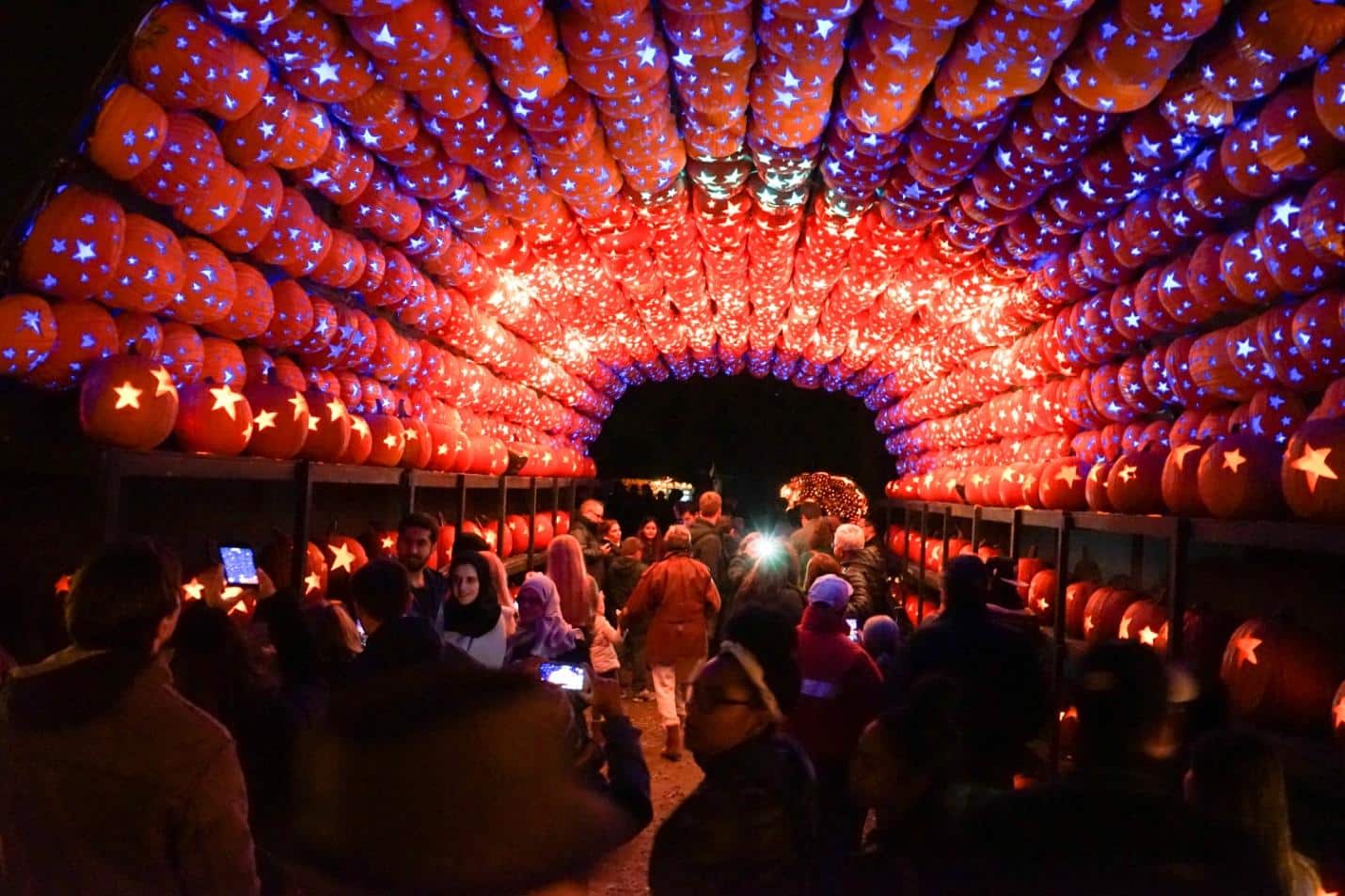 A picture of the Great Jack O’Lantern Blaze festival