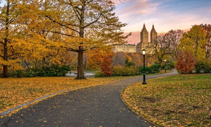 Scenic view of Central Park in New York City during late autumn with colorful trees reflecting on the lake.